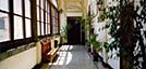 wpid-15837_PalazzoBranciforte.jpg