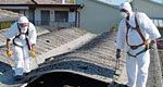 wpid-16296_190_smaltimentoeternit.jpg