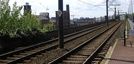 wpid-16464_binari.jpg
