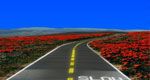 wpid-16619_290_impianti.jpg