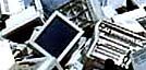wpid-16758_Raee-copy.jpg