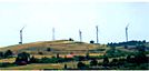 wpid-16836_Vizzini.jpg