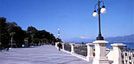 wpid-16838_reggio.jpg