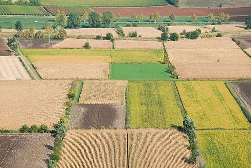 wpid-19251_2656_terrenoagricolo.jpg