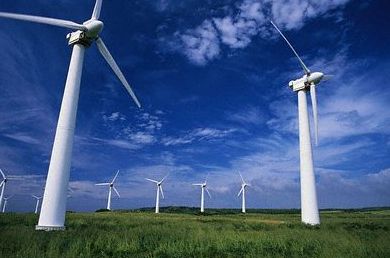 wpid-19311_1904_pale.jpg