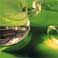 wpid-19435_acqua.jpg