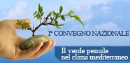 wpid-19537_verdepensile.jpg