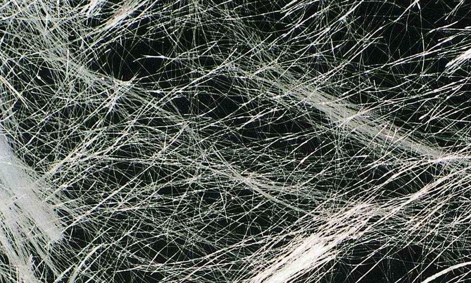 wpid-19936_cementofibrorinforzato.jpg