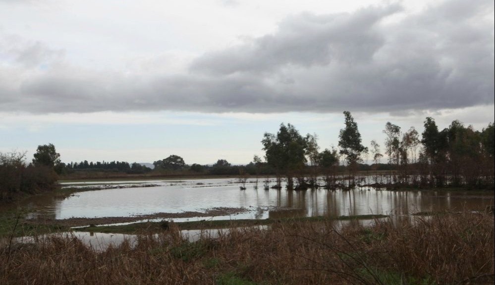 wpid-20110_AlluvioneSardegna.jpg