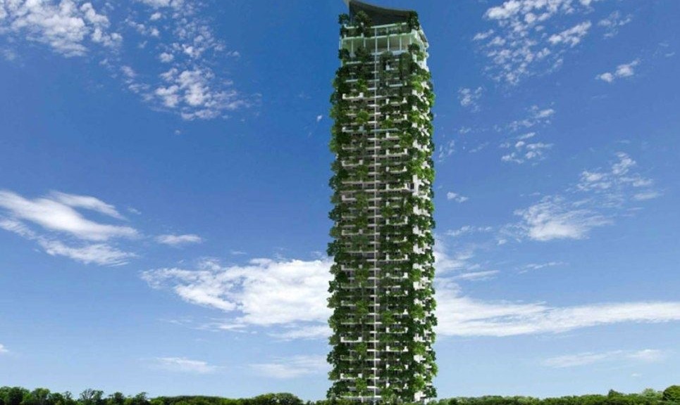 wpid-21365_clearhp.jpg