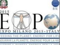 wpid-2172_Expo0.jpg
