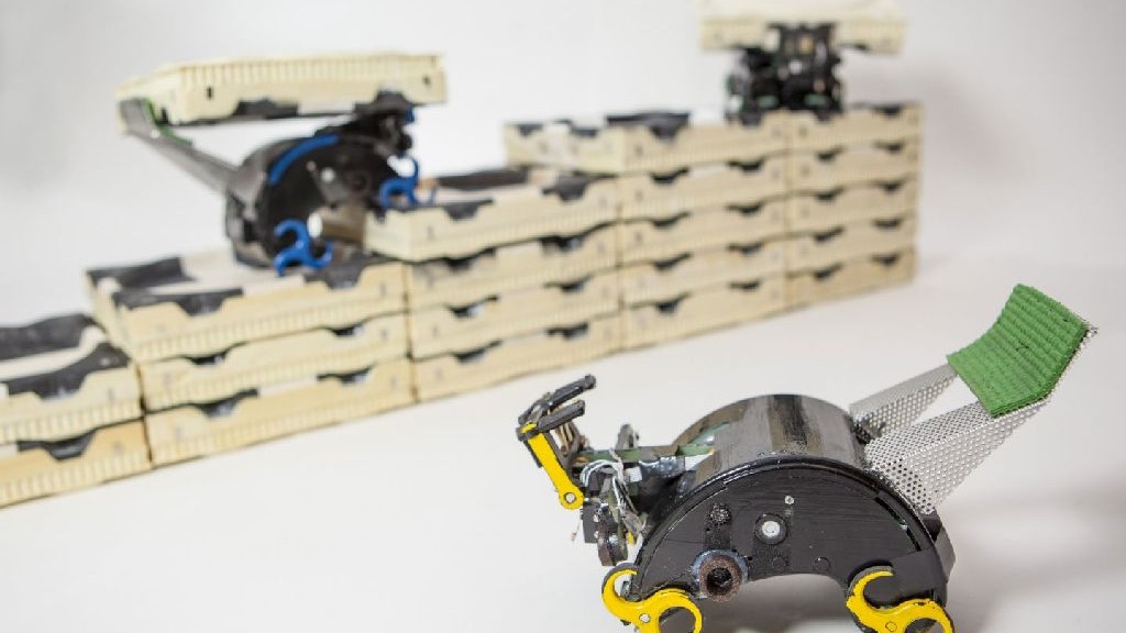wpid-21733_roboticrobotharvardtermes.jpg