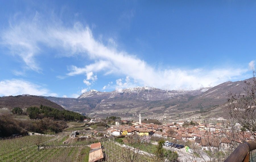 wpid-22648_scuolatrento.jpg