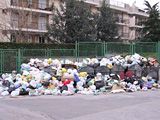 wpid-242_spazzatura.jpg