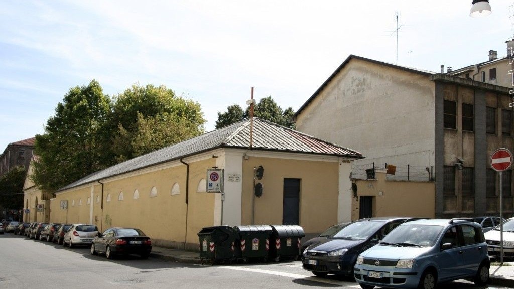 wpid-24465_cesaresaluzzo.jpg
