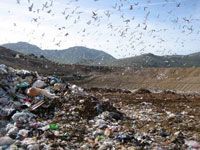 wpid-260_discarica.jpg