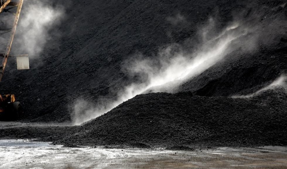 wpid-26604_Paonepetcoke.jpg
