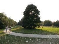 wpid-3289_park.jpg