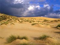 wpid-3533_dune.jpg
