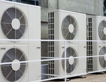 wpid-442_e.jpg