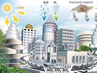 wpid-4694_bioedil.jpg
