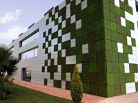 wpid-4736_verde.jpg