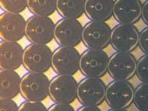 wpid-5057_plastico.jpg