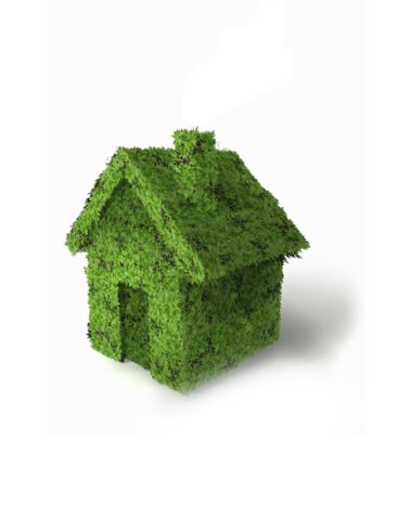wpid-5488_gggverde.jpg
