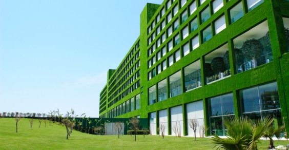 wpid-8533_Ecohotels.jpg