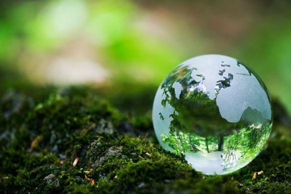 wpid-8696_hdEarthDayTheHomeDepotBlog.jpg