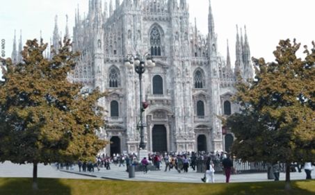 wpid-9076_alberiinpiazzaduomo.jpg