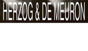 wpid-HerzogDeMeuron.jpg