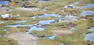 wpid-Marsh.jpg