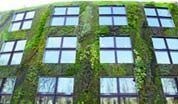 wpid-Museo-Quai-Branly3.jpg