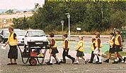 wpid-Pedibus3.jpg