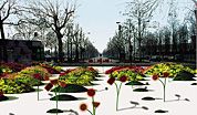 wpid-RoundBlurTorino.jpg