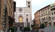 wpid-Todi.jpg