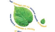 wpid-ambiente.jpg