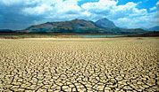 wpid-desertificazione2.jpg