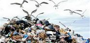 wpid-discarica.jpg
