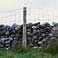wpid-fence.jpg