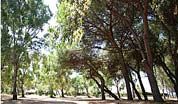 wpid-formia_parco_decurtis.jpg