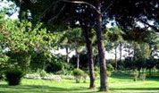 wpid-parco.jpg