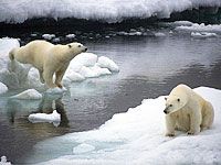 wpid-scioglimento_artico.jpg